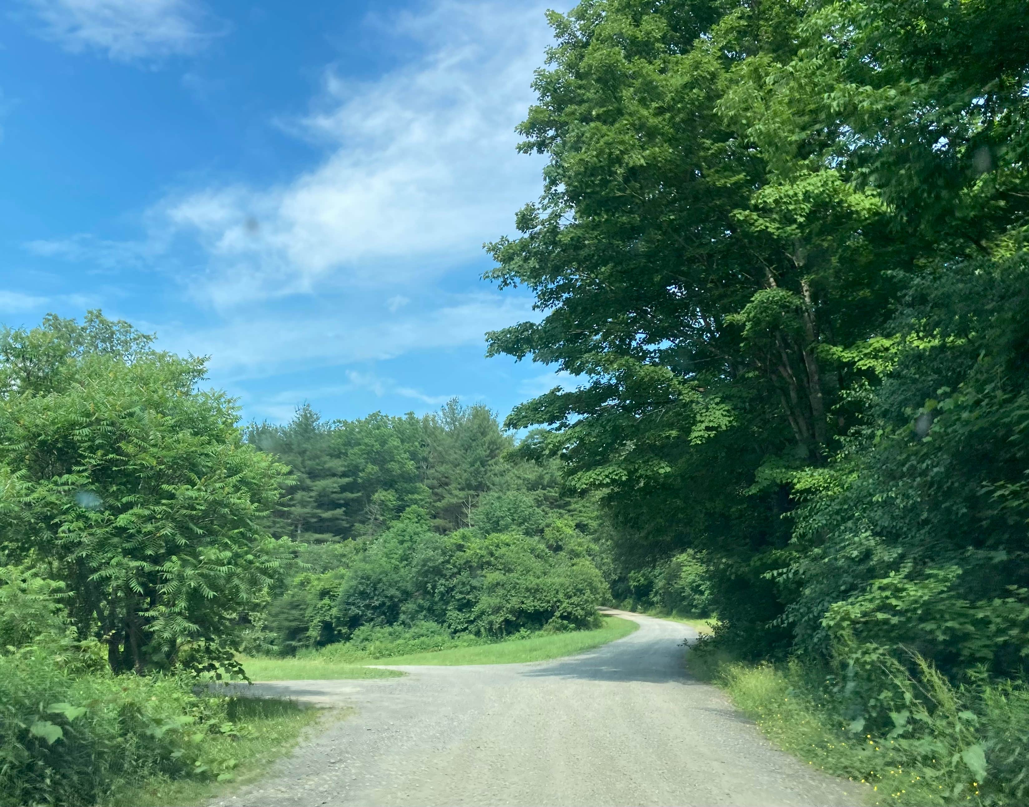 Camper submitted image from Stoney Pond State Forest Camping Area - 5