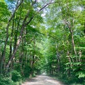 Review photo of Stoney Pond State Forest Camping Area by Janet R., June 23, 2024