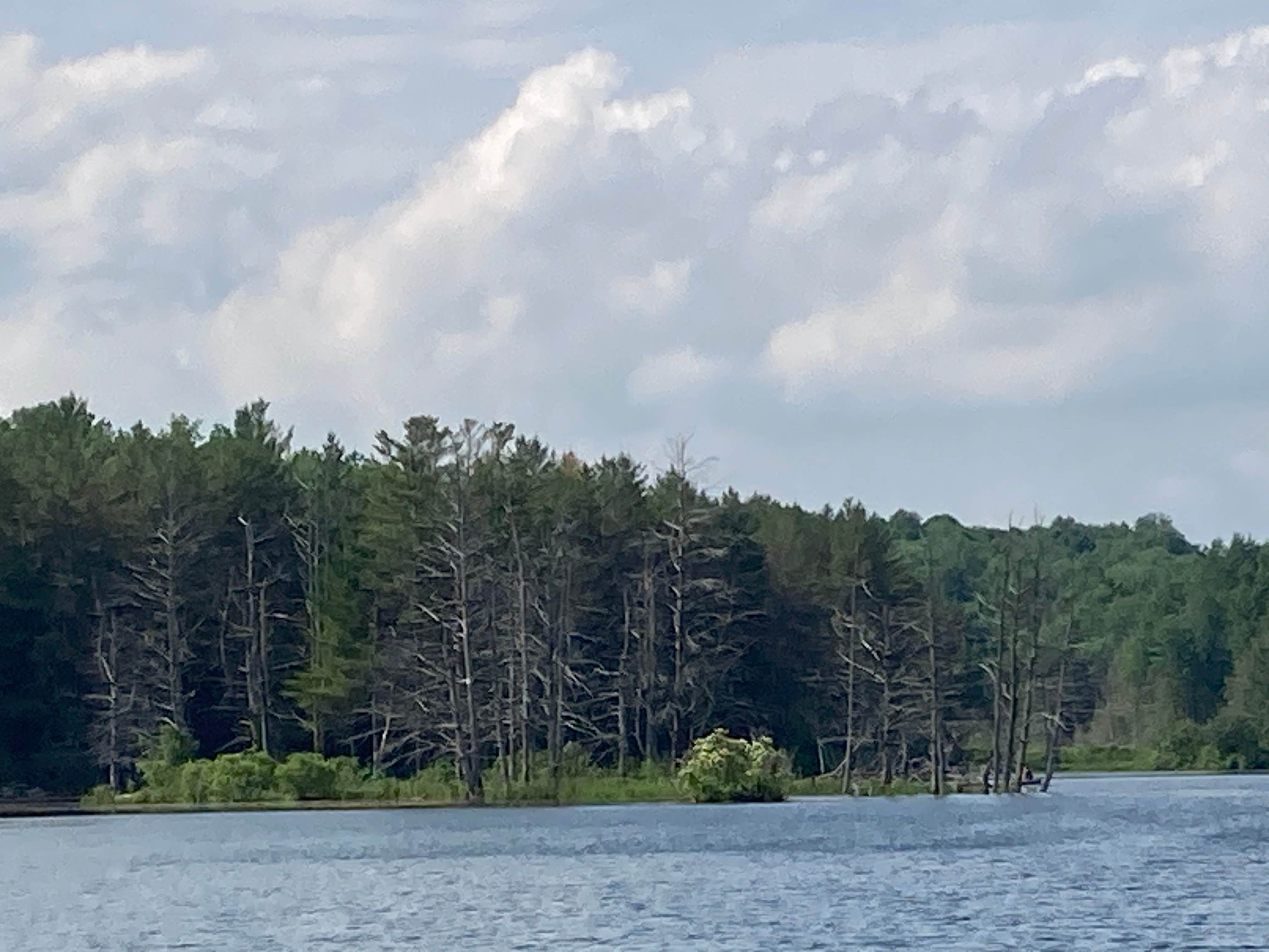 Camper-submitted photo at Stoney Pond State Forest Camping Area near Waterville, NY