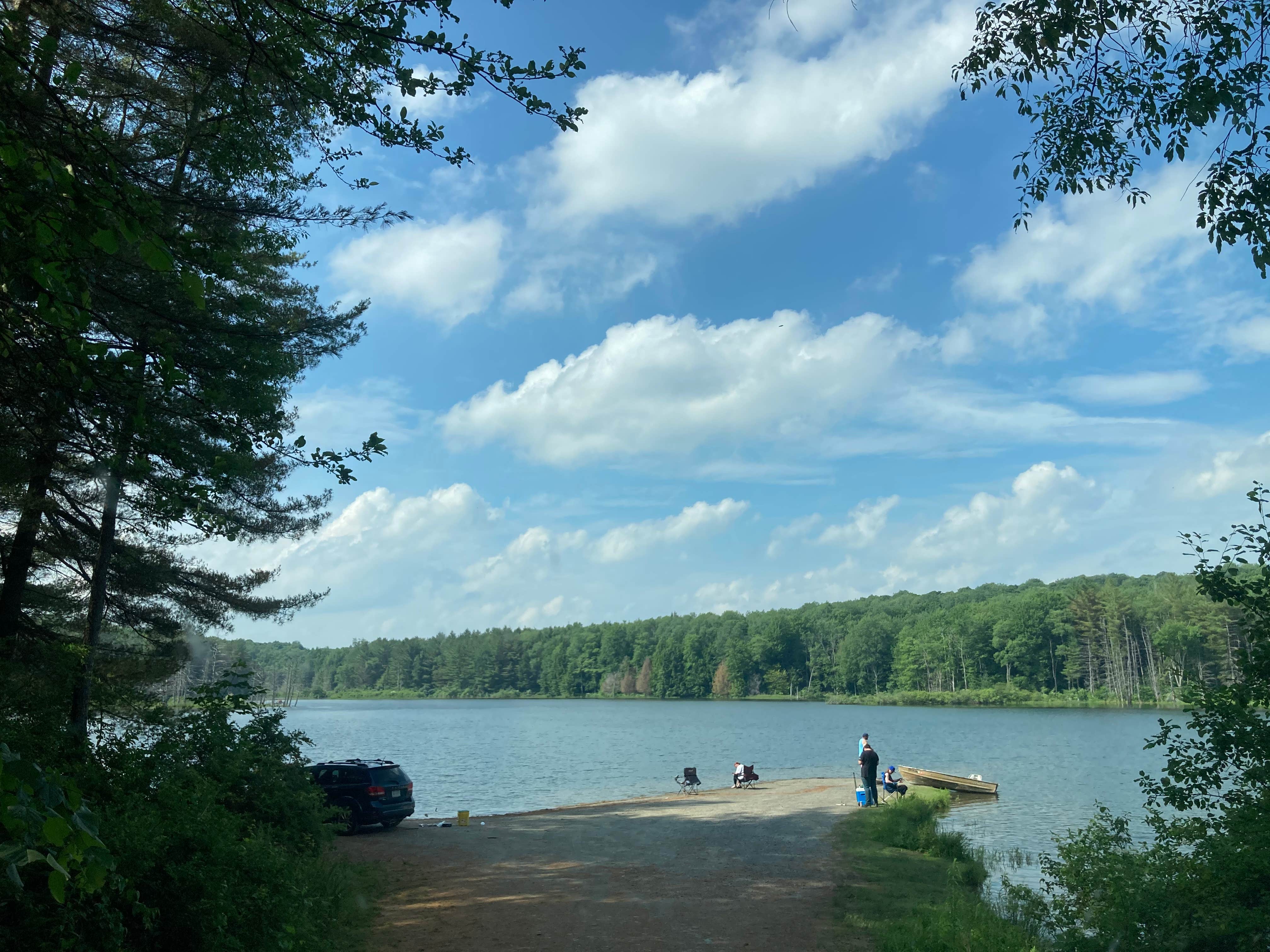 Camper submitted image from Stoney Pond State Forest Camping Area - 3