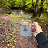 Review photo of Stony Fork Campground by Madeline G., May 16, 2024