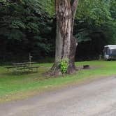 Review photo of Stony Fork Creek Campground by MJ B., June 19, 2024