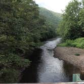 Review photo of Stony Fork Creek Campground by Greg W., August 2, 2024