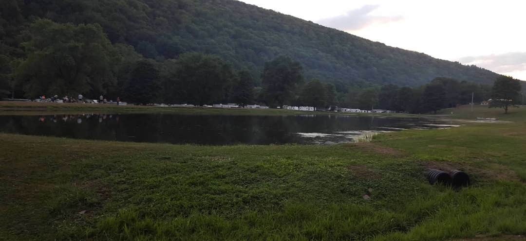 Camper submitted image from Stony Fork Creek Campground - 3