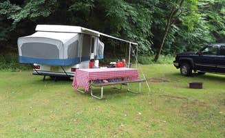 MJ B.'s photo of rv camping at Stony Fork Creek Campground near Sabinsville, PA