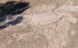 ron R.'s photo of camping with pets at Storm Hill BLM Land Dispersed Site near Devils Tower, WY