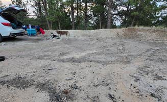 Ruth T.'s photo of camping with pets at Storm Hill BLM Land Dispersed Site near Devils Tower, WY