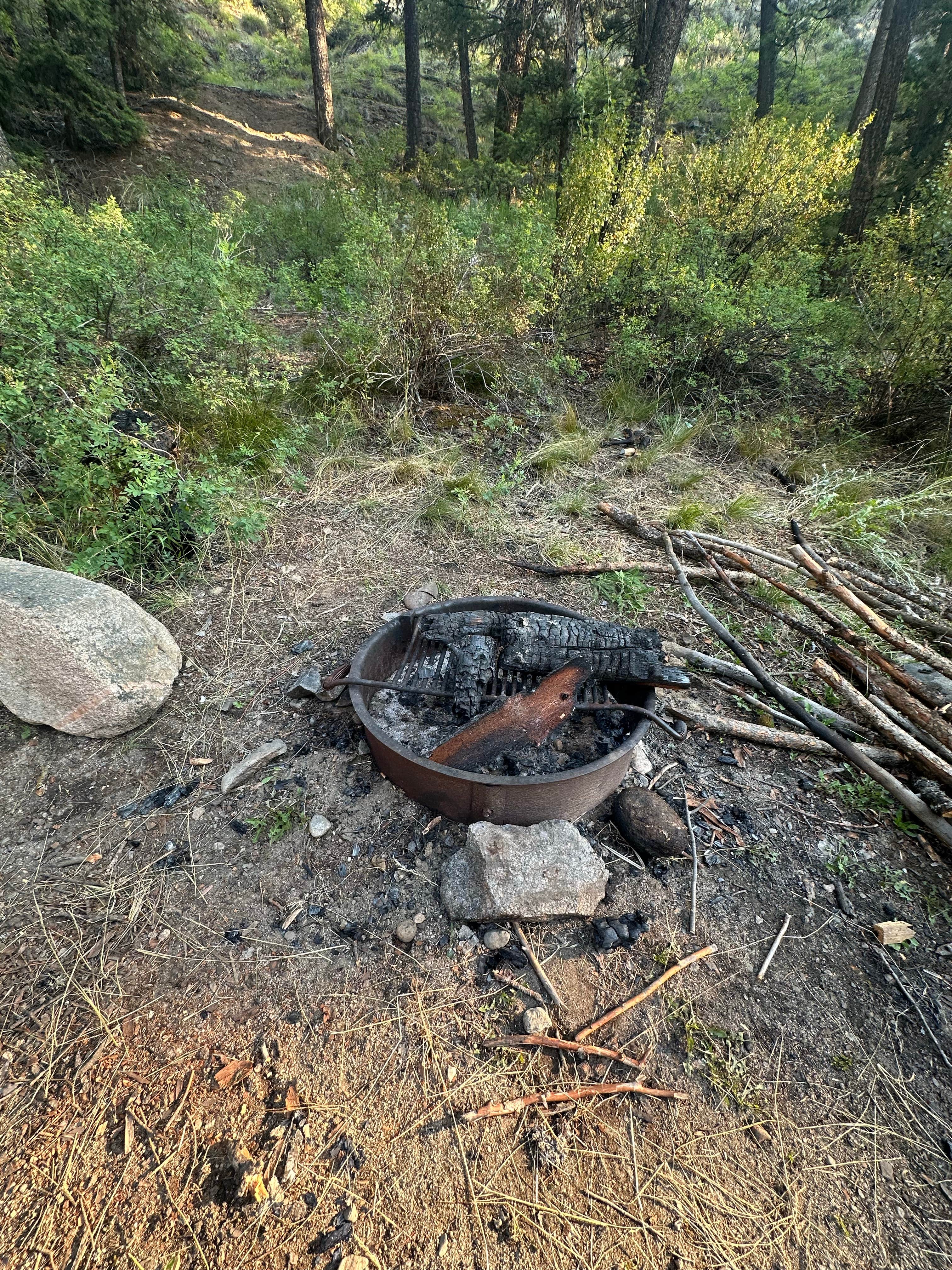 Stovepipe Springs Dispersed Camping Area