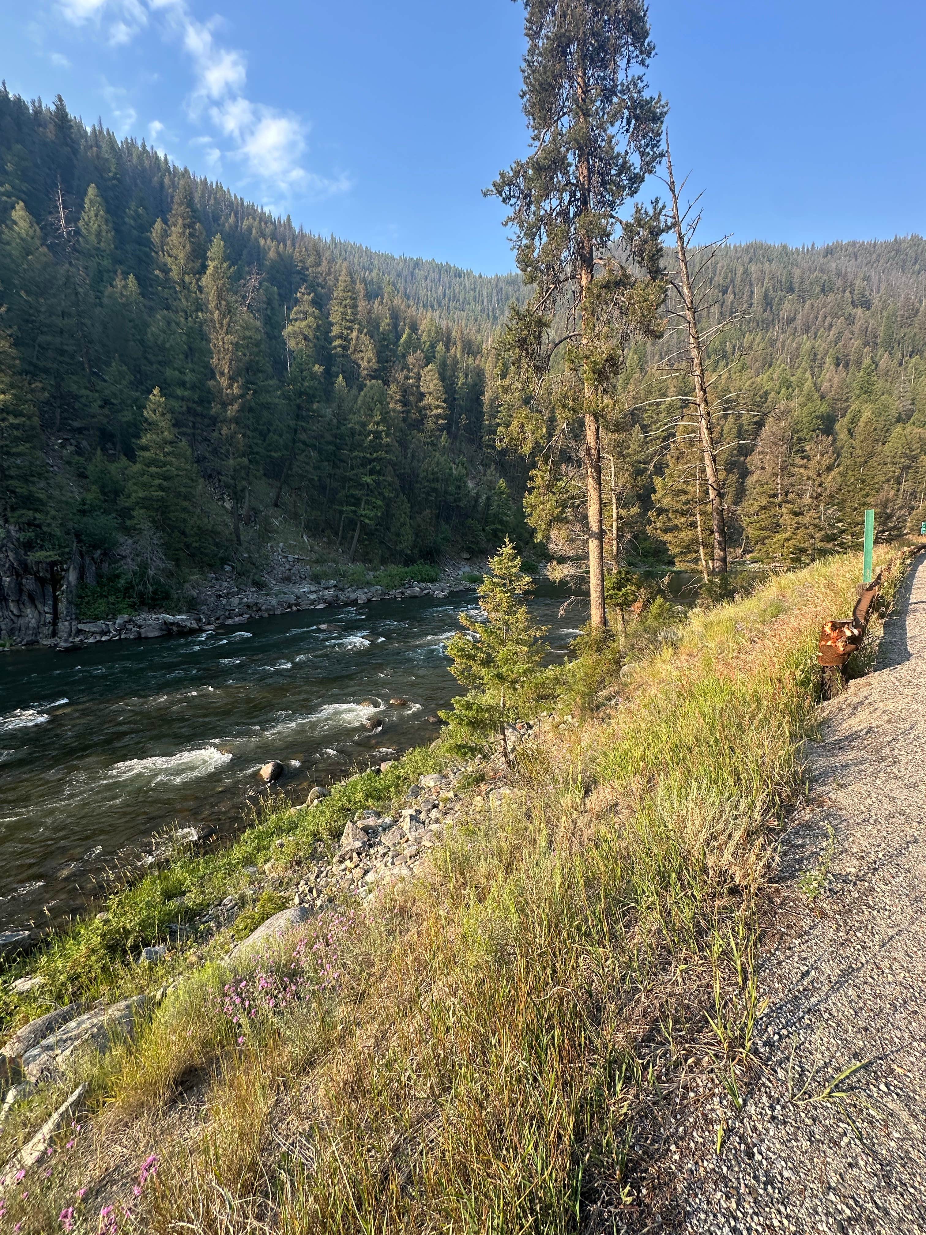 Camper-submitted photo at Stovepipe Springs Dispersed Camping Area near Challis, ID