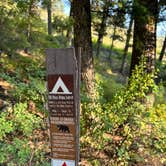 Review photo of Stovepipe Springs Dispersed Camping Area by Camila S., July 27, 2026
