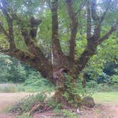 Review photo of Straddleline Park by Michael B., August 14, 2026