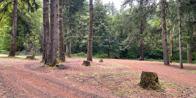 Camper submitted image from Straddleline Park