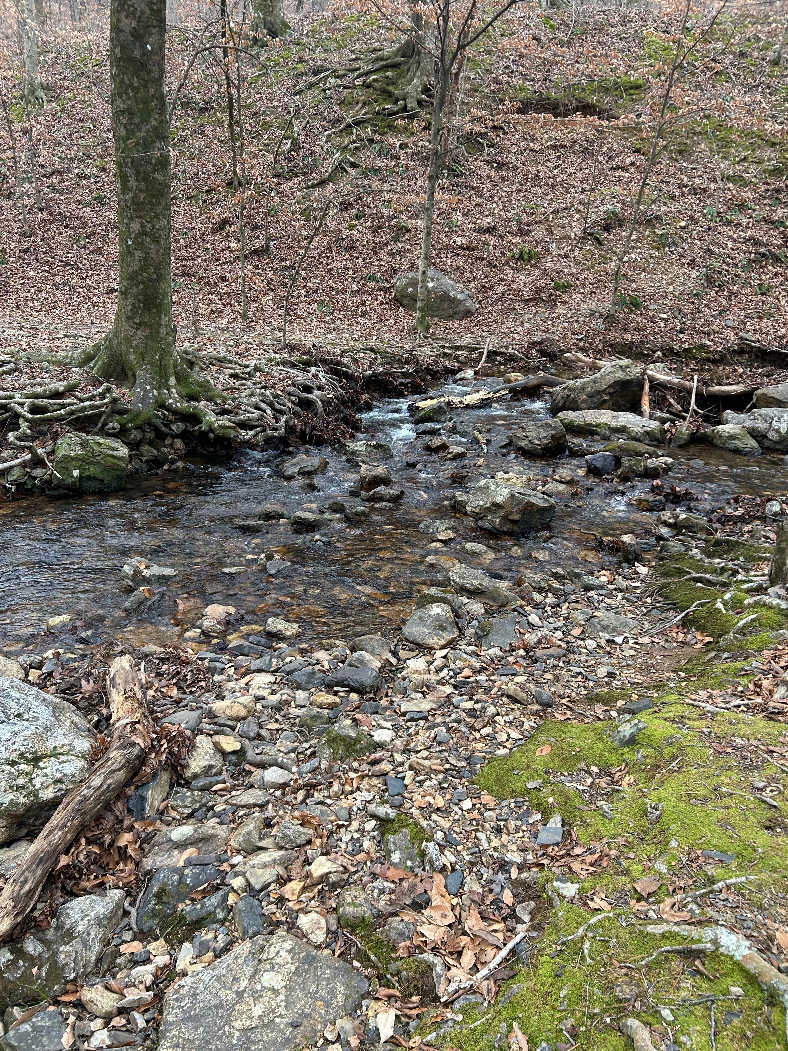 Camping near Bard Springs Campground - CLOSED TEMPORARILY: Straight Creek Campsite on the Eagle Rock Loop, Langley, Arkansas