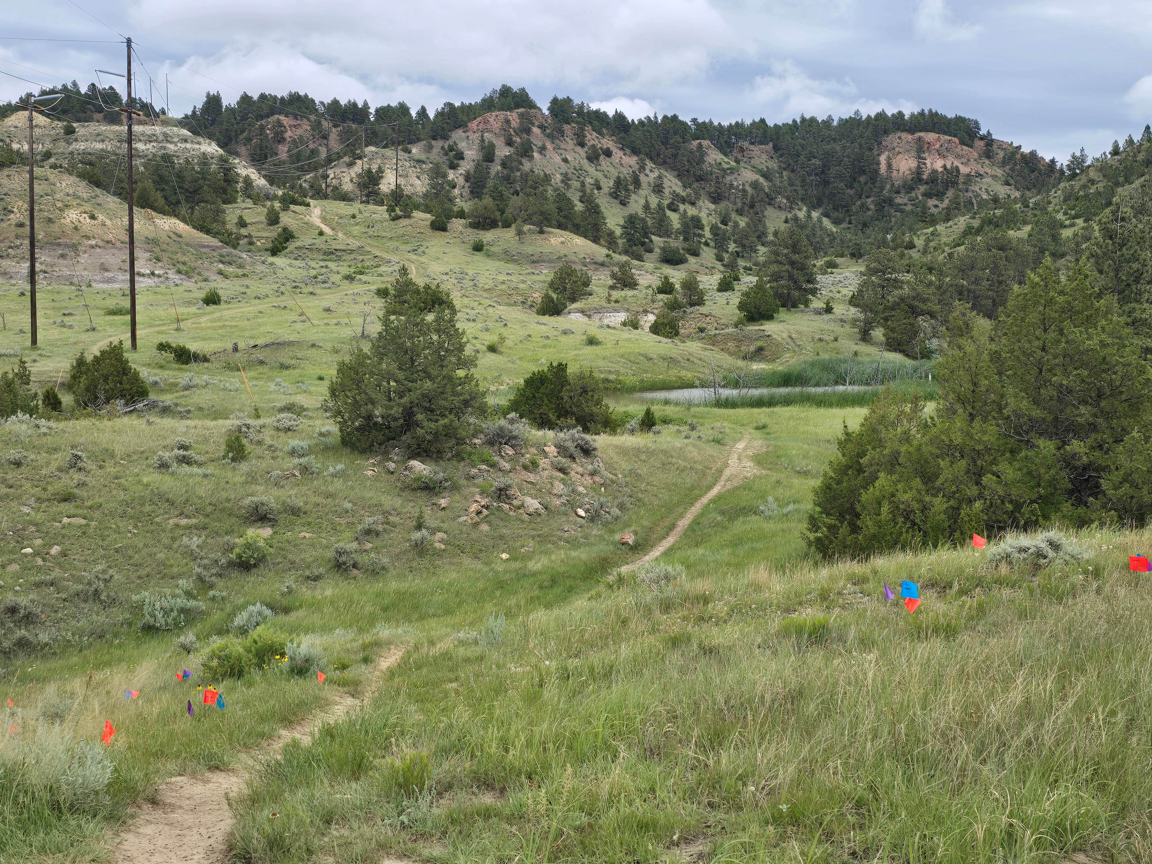 Camper-submitted photo at Strawberry Hill Recreation Area Dispersed Camping near Miles City, MT