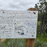 Review photo of Strawberry Hill Recreation Area Dispersed Camping by CATHLEEN B., June 22, 2025