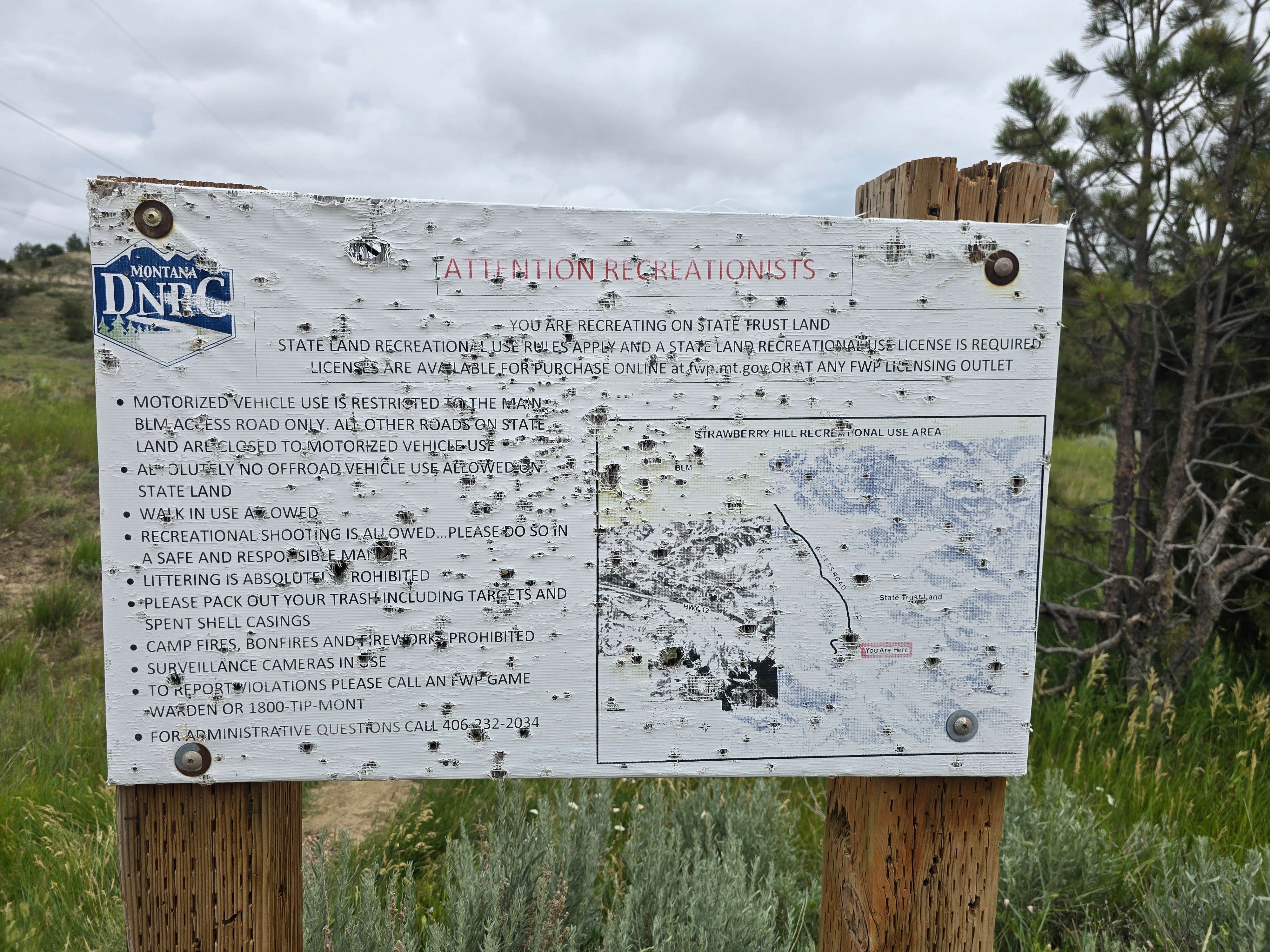 Camper submitted image from Strawberry Hill Recreation Area Dispersed Camping - 3