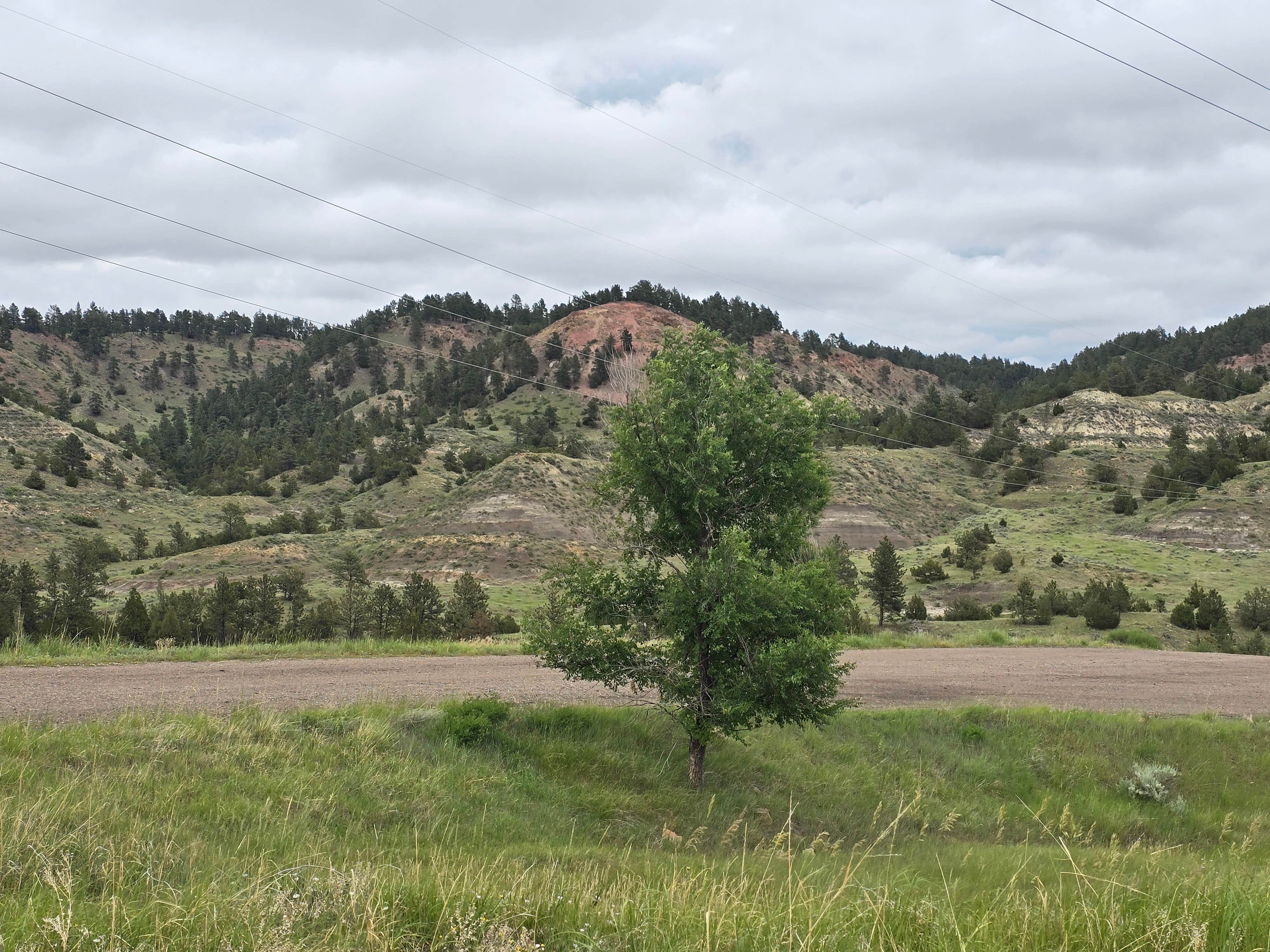 Camper submitted image from Strawberry Hill Recreation Area Dispersed Camping - 1