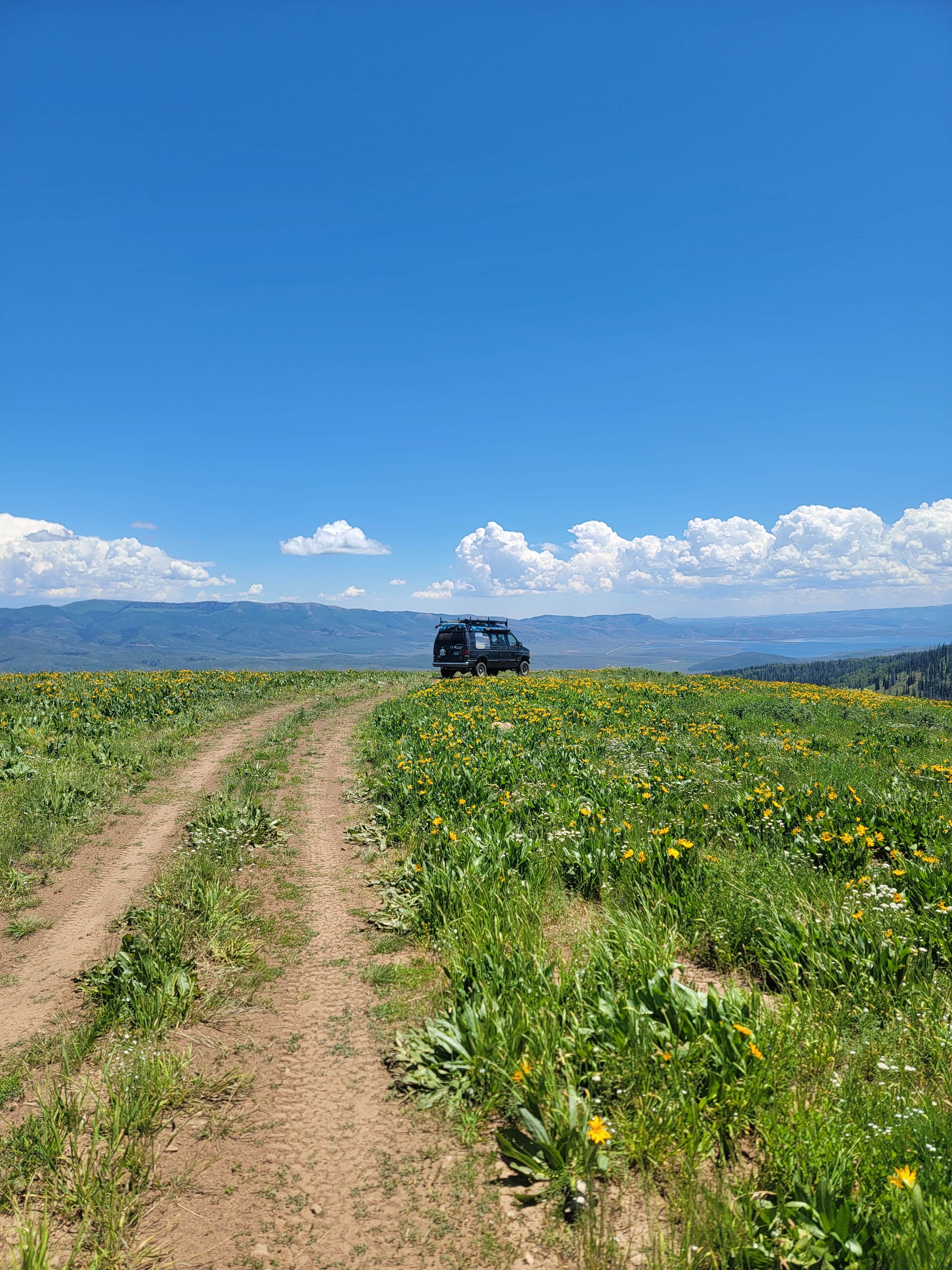 Strawberry Ridge Dispersed Camping