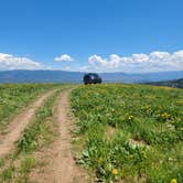 Review photo of Strawberry Ridge Dispersed Camping by Cadence B., June 25, 2026
