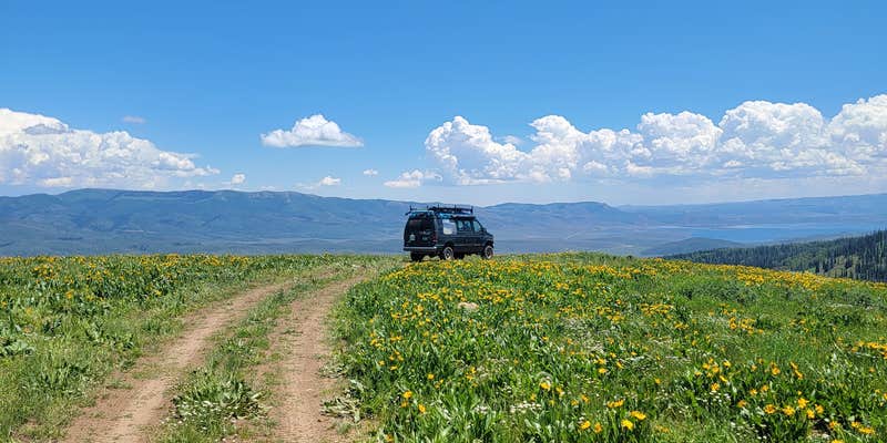 Camper submitted image from Strawberry Ridge Dispersed Camping