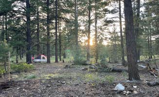 L M.'s photo of a dispersed camping area at Strawberry Ridge near Alton, UT