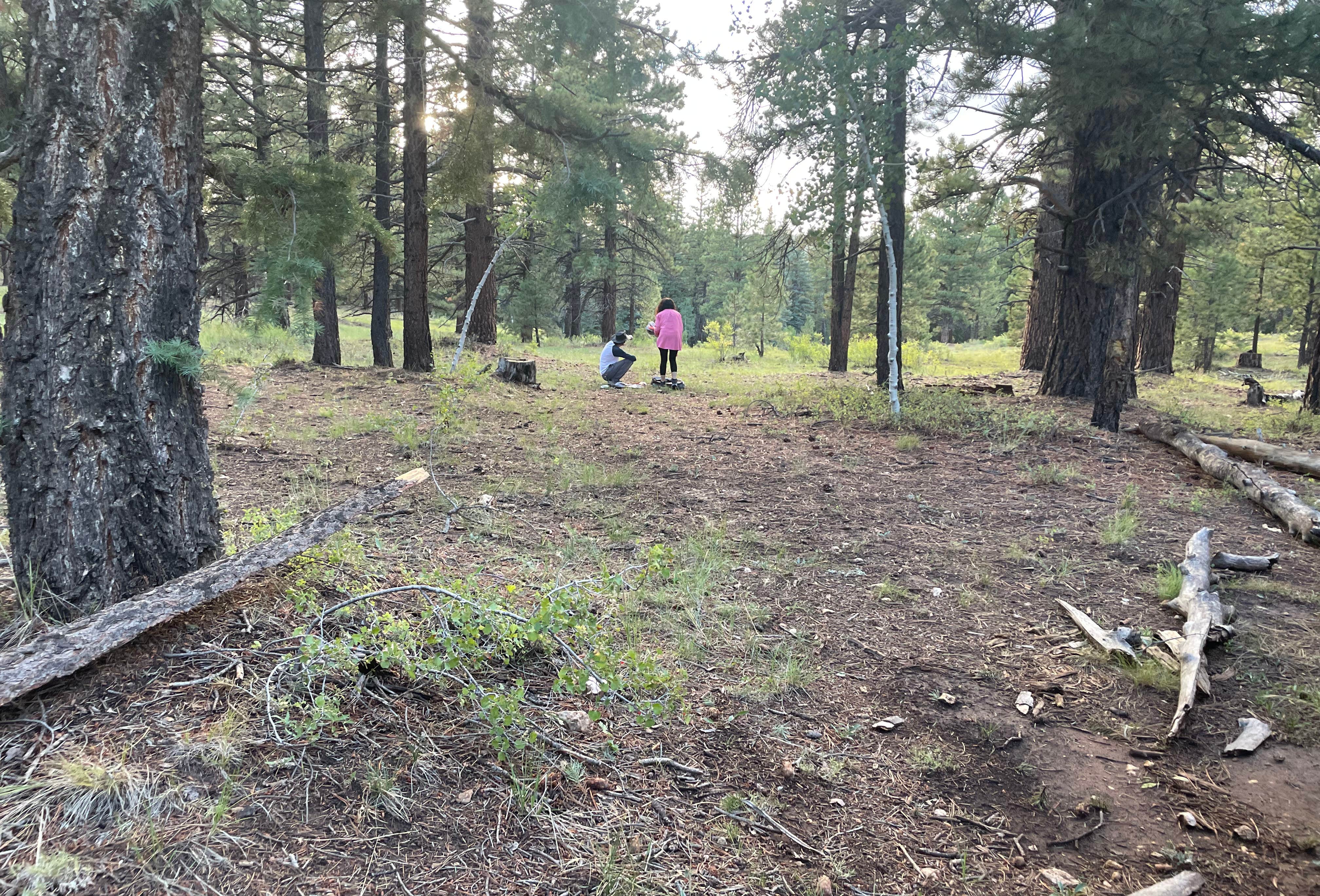 Strawberry Ridge Camping | Duck Creek Village, Utah