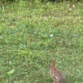Review photo of Streetsboro-Cleveland SE KOA by Jennifer H., August 17, 2025