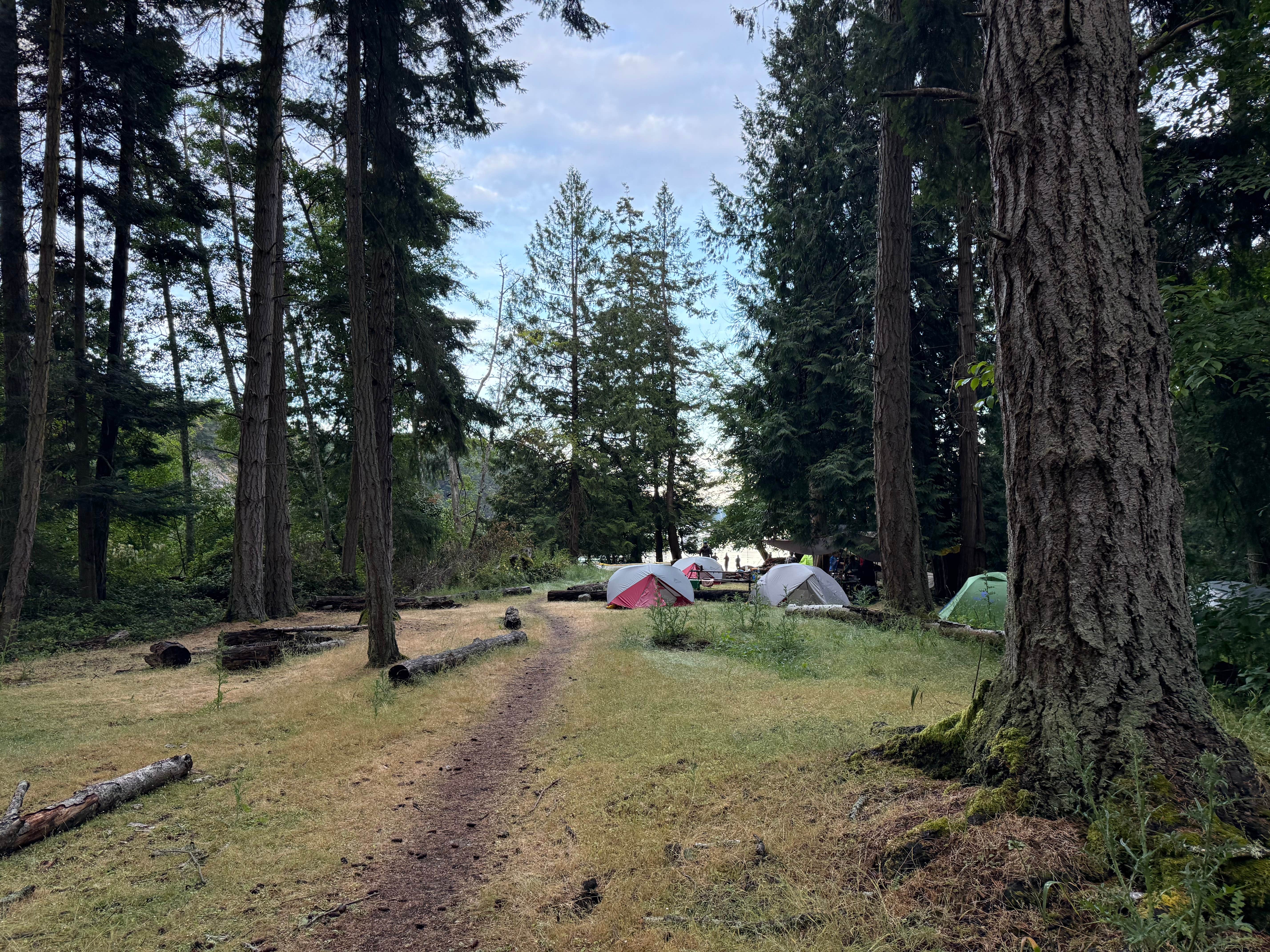 Taylor C.'s photo of tent camping at Stuart Island Marine State Park Campground near Lummi Island, WA