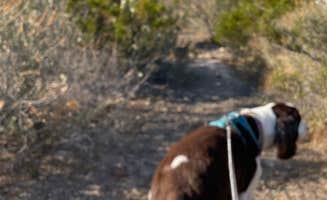 Joel R.'s photo of camping with pets at Study Butte RV Park near Big Bend National Park