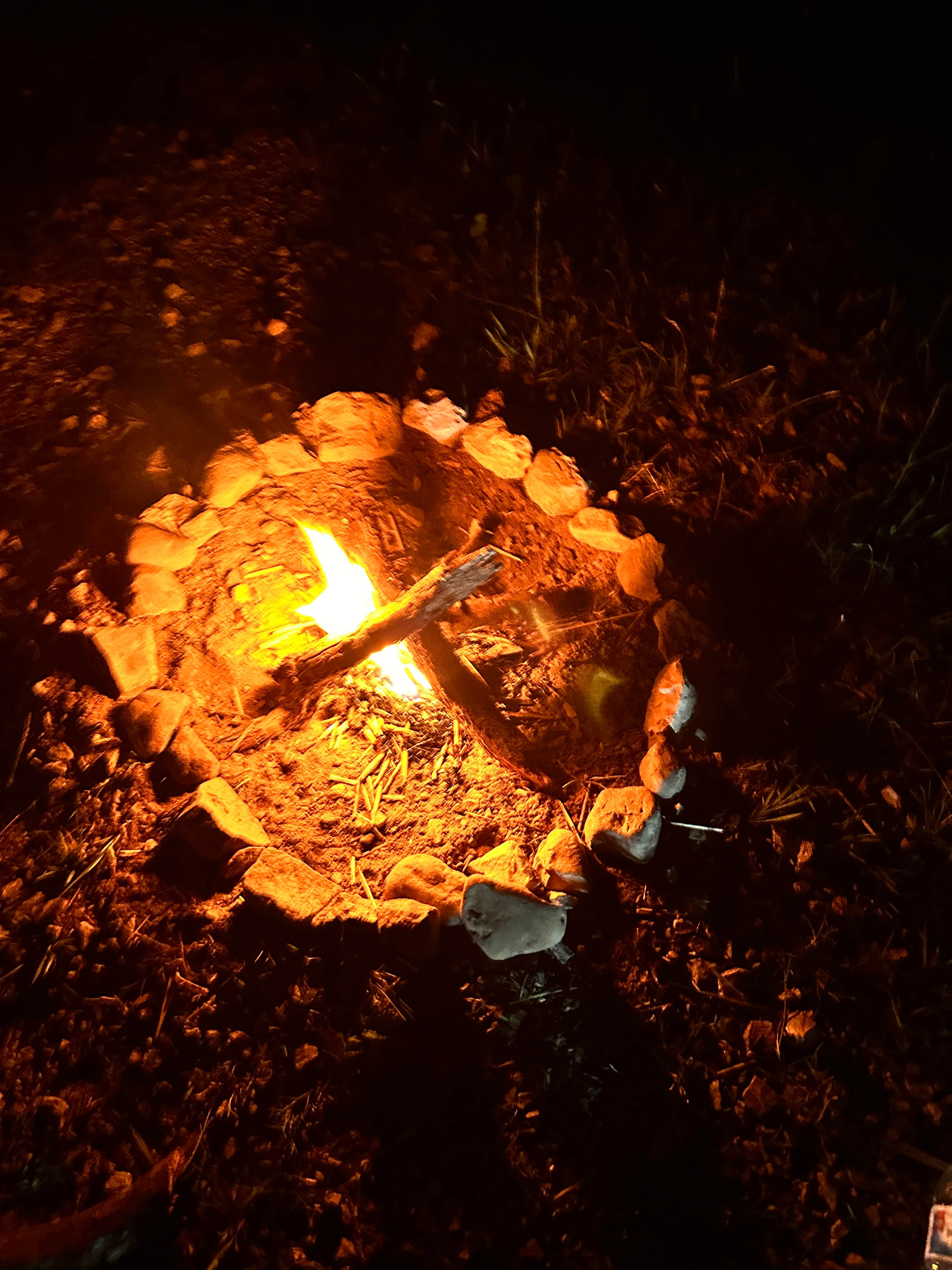 Camping near Harbour Village Campground & Water Park: Sturgeon Bay Canal, Sturgeon Bay, Wisconsin