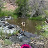 Review photo of Succor Creek State Natural Area Dispersed by Imerie T., May 28, 2026