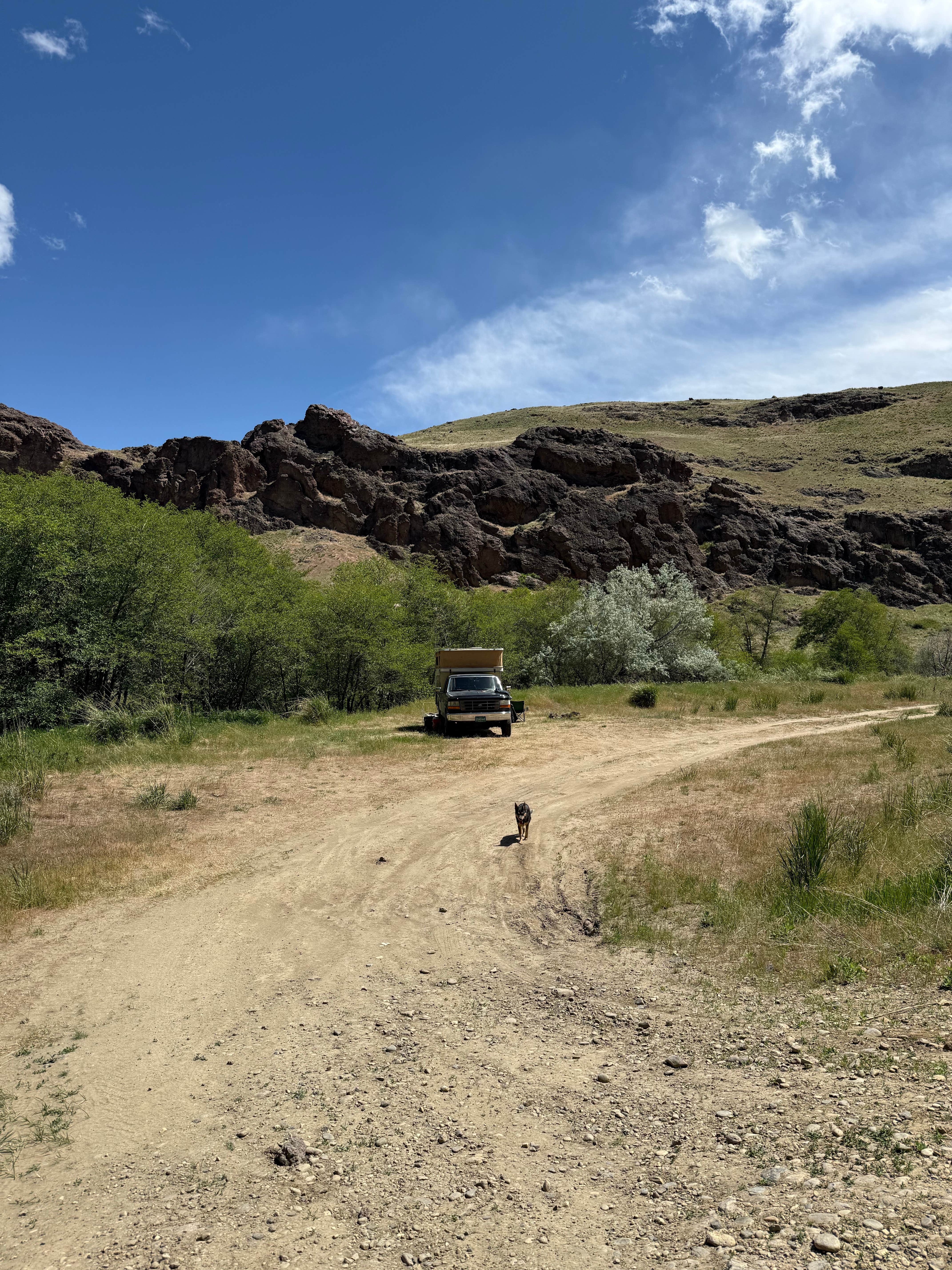 Devon R.'s photo of camping with pets at Succor Creek State Natural Area Dispersed near Murphy, ID