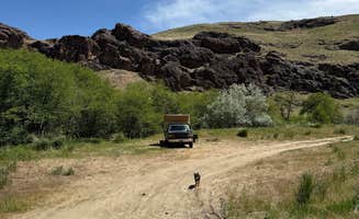 Devon R.'s photo of camping with pets at Succor Creek State Natural Area Dispersed near Adrian, OR