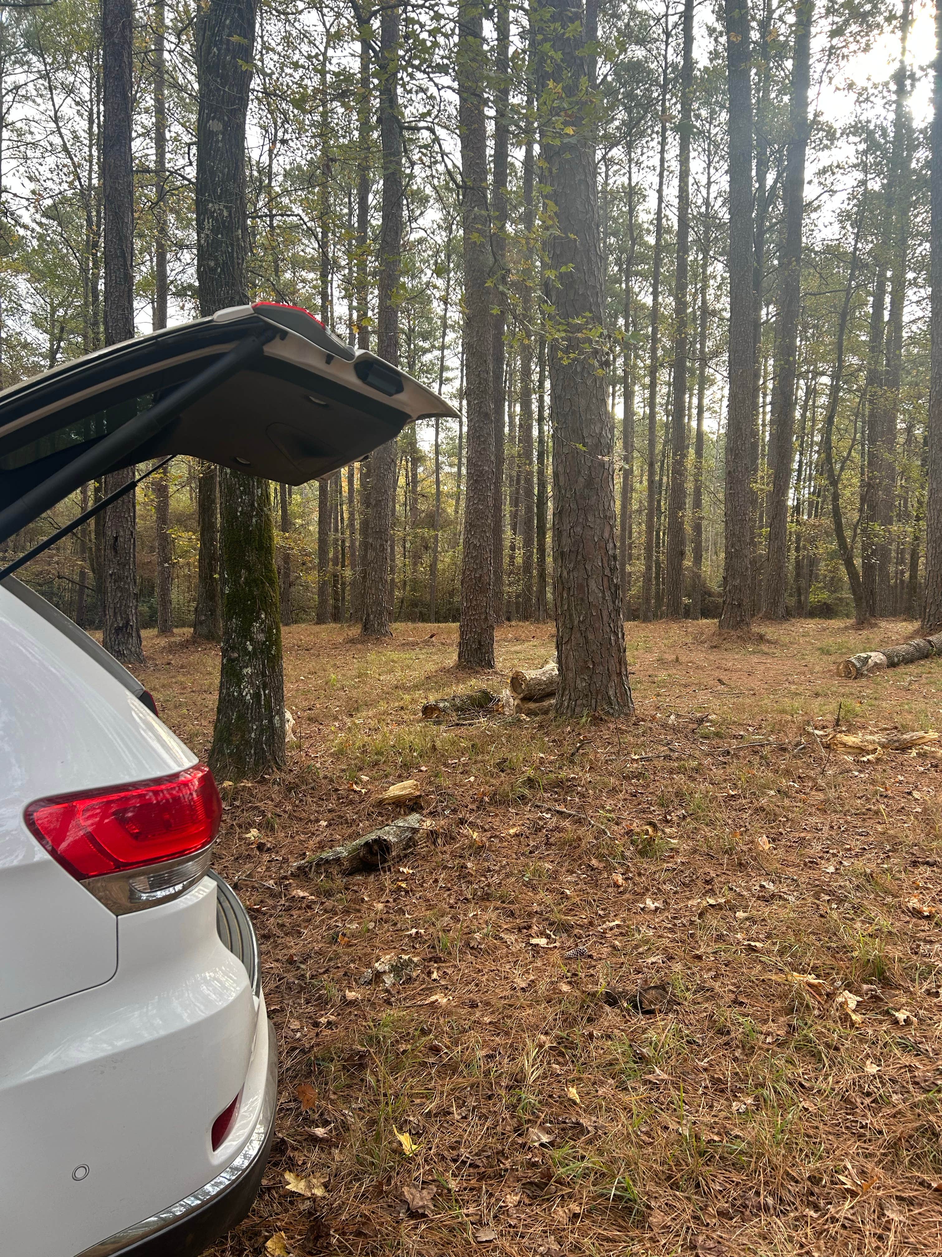 Camper-submitted photo at Sugar Creek Hunt Camp Dispersed near West Monroe, LA