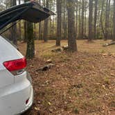 Review photo of Sugar Creek Hunt Camp Dispersed by sav , November 25, 2024