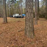 Review photo of Sugar Creek Hunt Camp Dispersed by sav , November 25, 2024