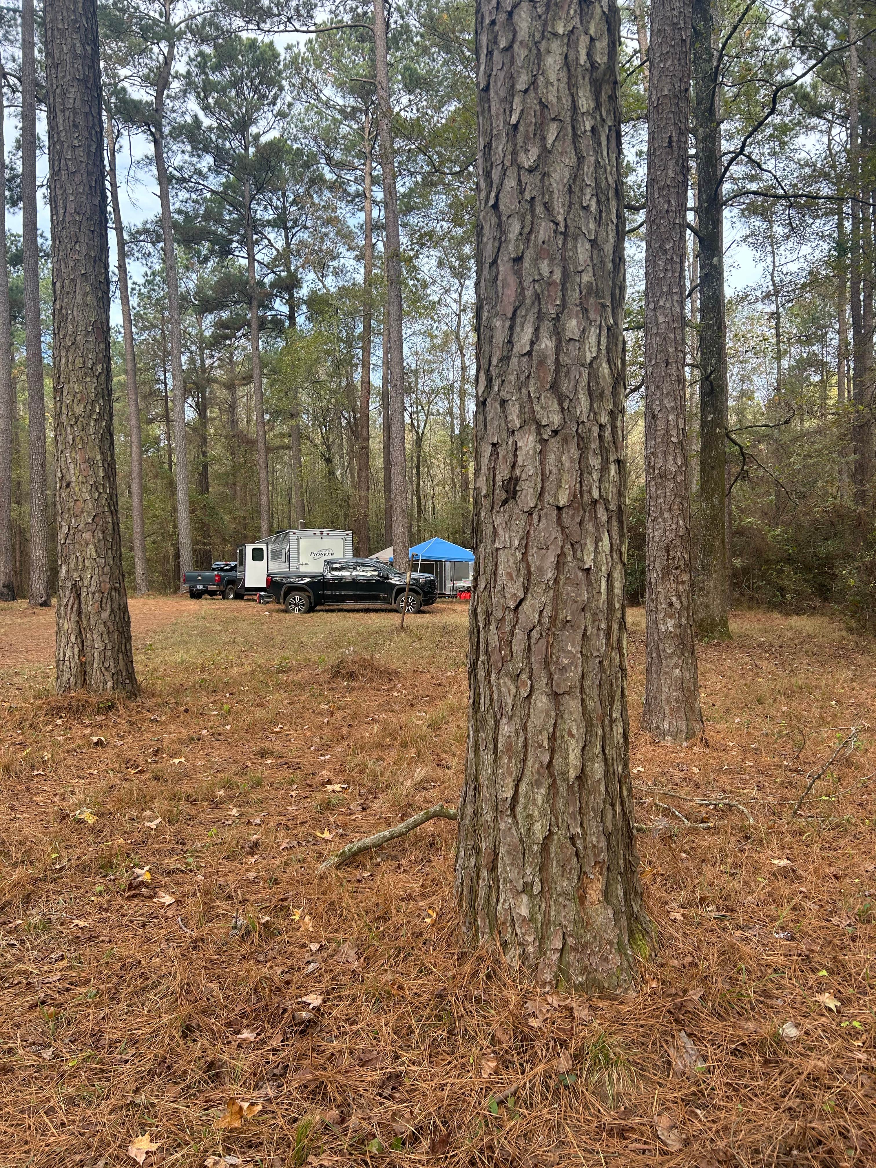 Camper submitted image from Sugar Creek Hunt Camp Dispersed - 1