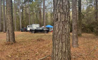 sav's photo of a dispersed camping area at Sugar Creek Hunt Camp Dispersed near Bienville, LA