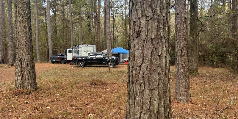 Camper submitted image from Sugar Creek Hunt Camp Dispersed