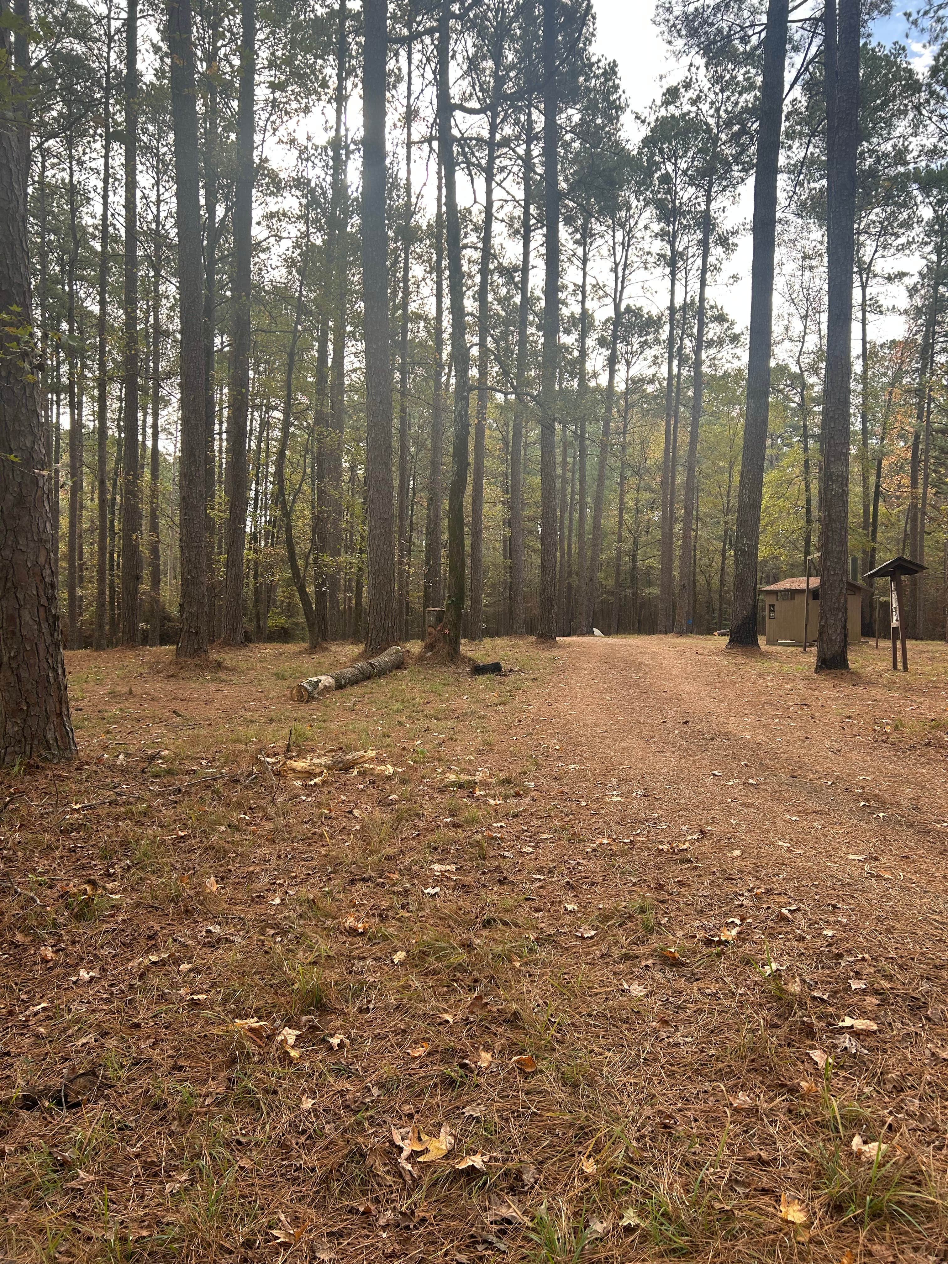 Camper-submitted photo at Sugar Creek Hunt Camp Dispersed near West Monroe, LA