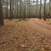 Review photo of Sugar Creek Hunt Camp Dispersed by sav , November 25, 2024