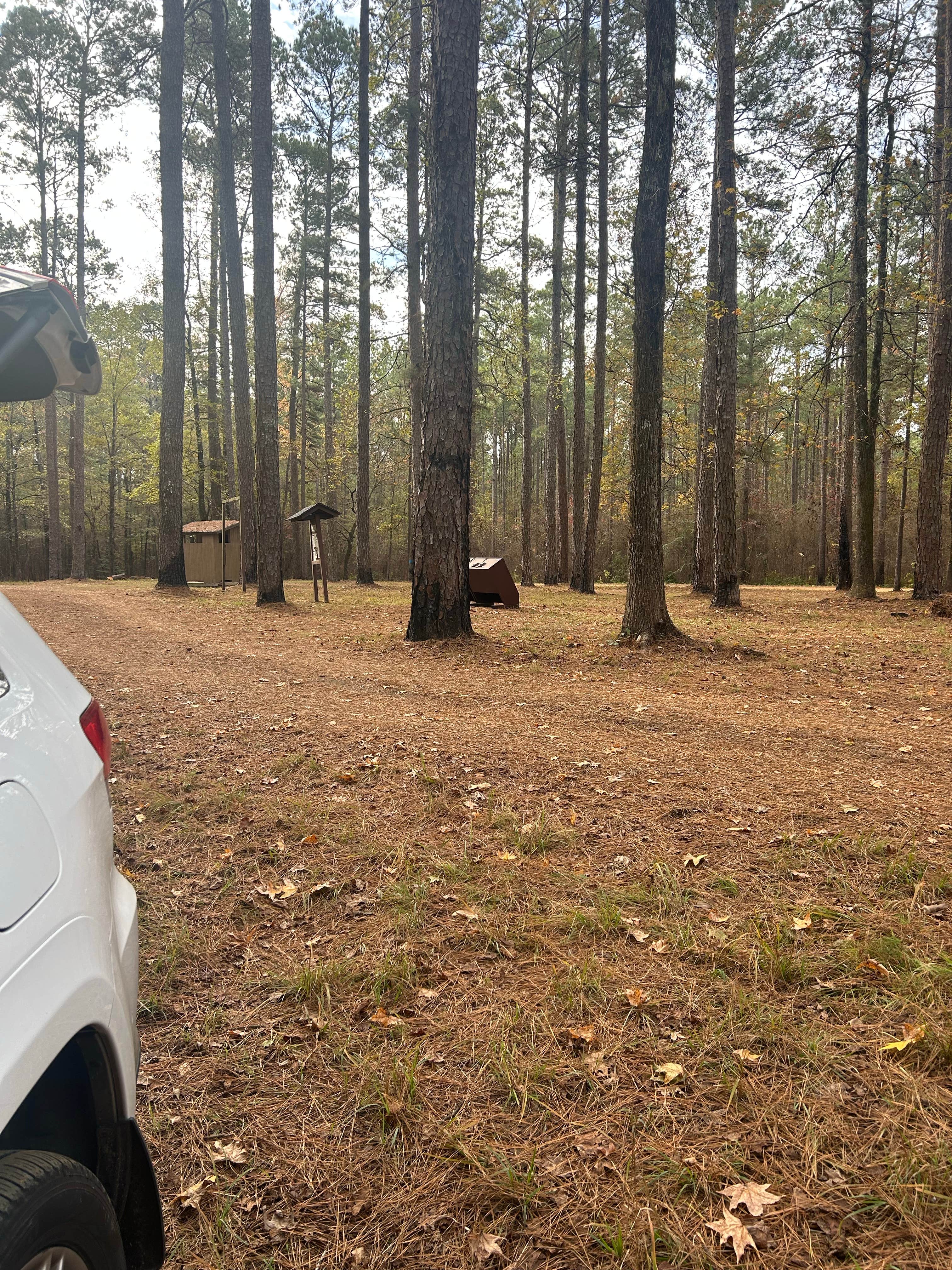 Camper-submitted photo at Sugar Creek Hunt Camp Dispersed near Bernice, LA