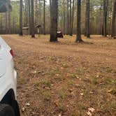 Review photo of Sugar Creek Hunt Camp Dispersed by sav , November 25, 2024