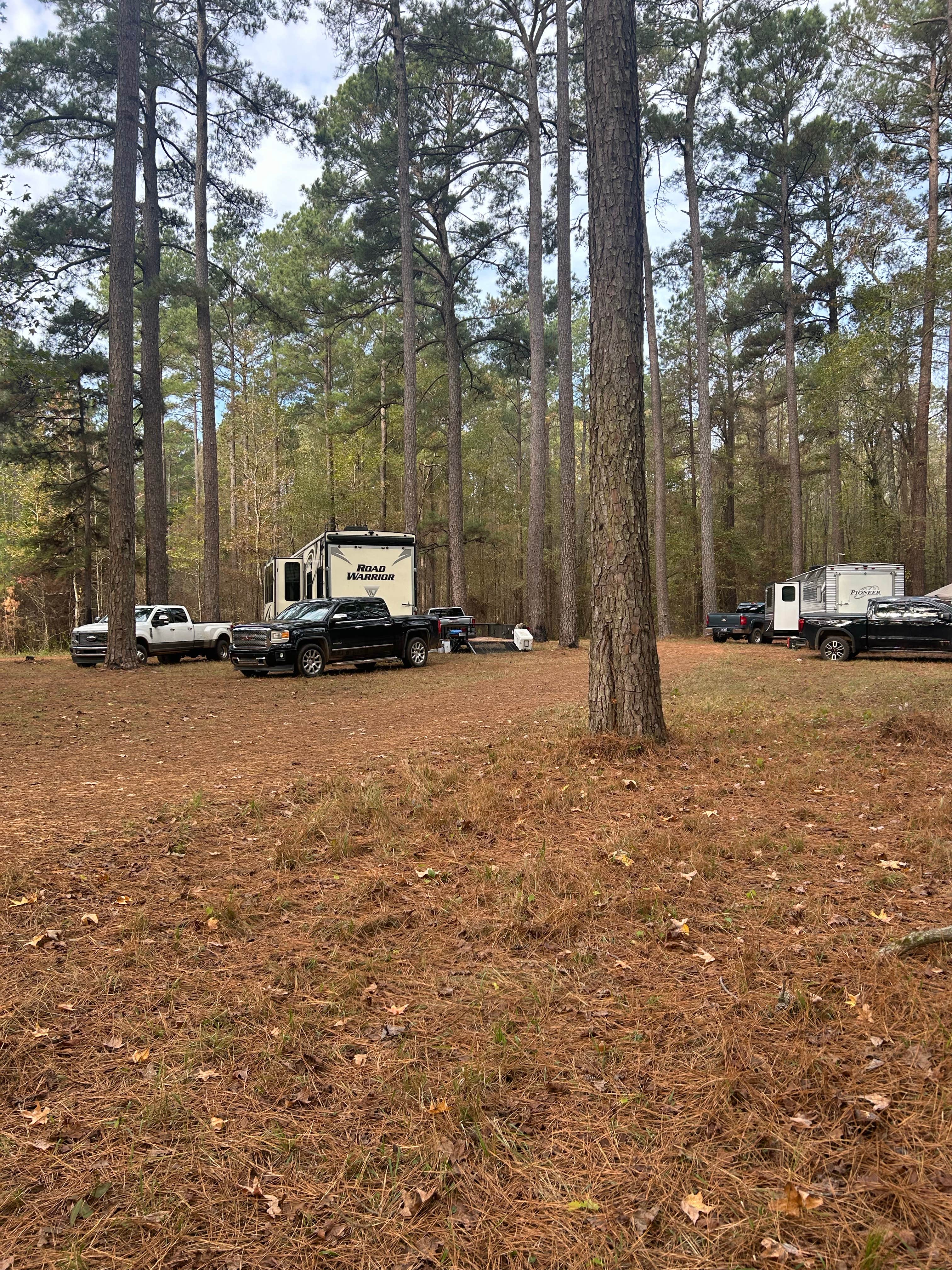 Camper submitted image from Sugar Creek Hunt Camp Dispersed - 2