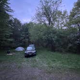 Review photo of Sugar Hill Fire Tower Campsite by Lylah H., May 17, 2024