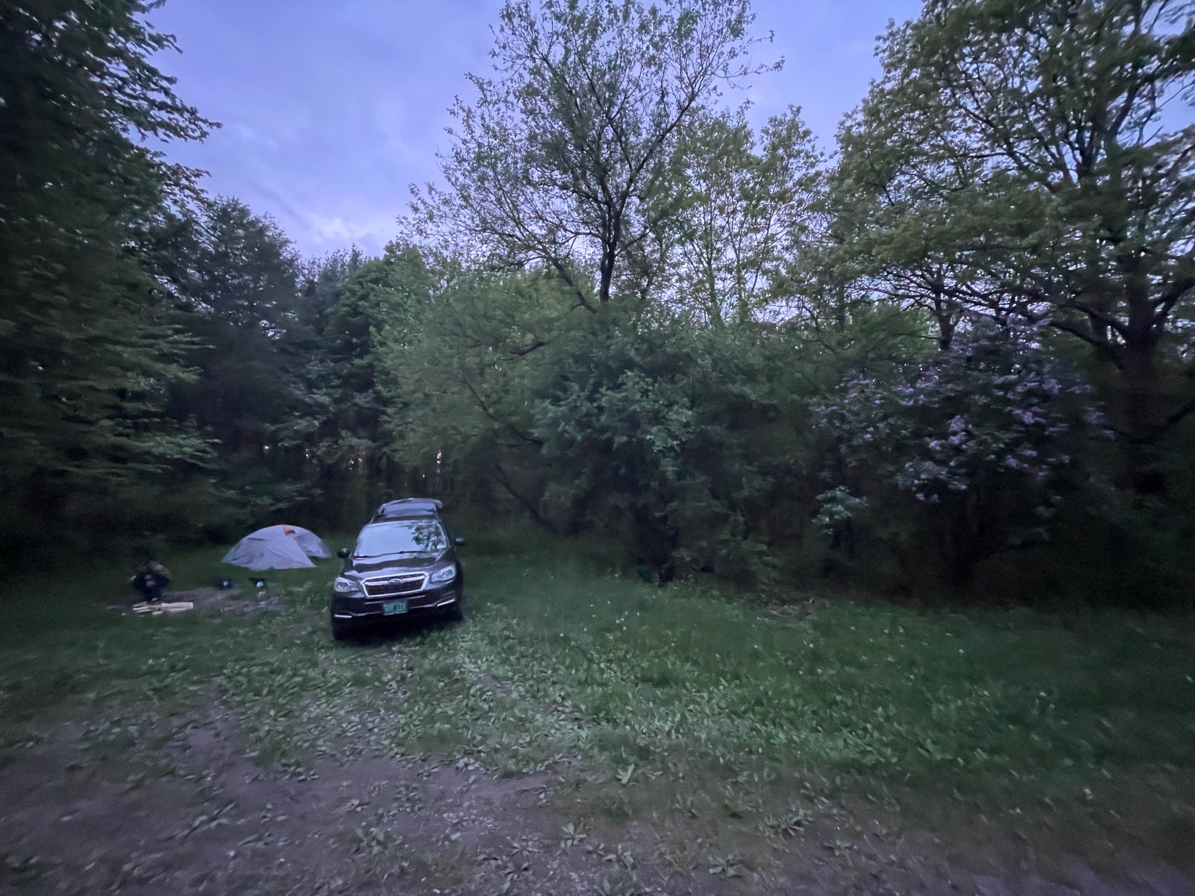 Camper submitted image from Sugar Hill Fire Tower Campsite - 5