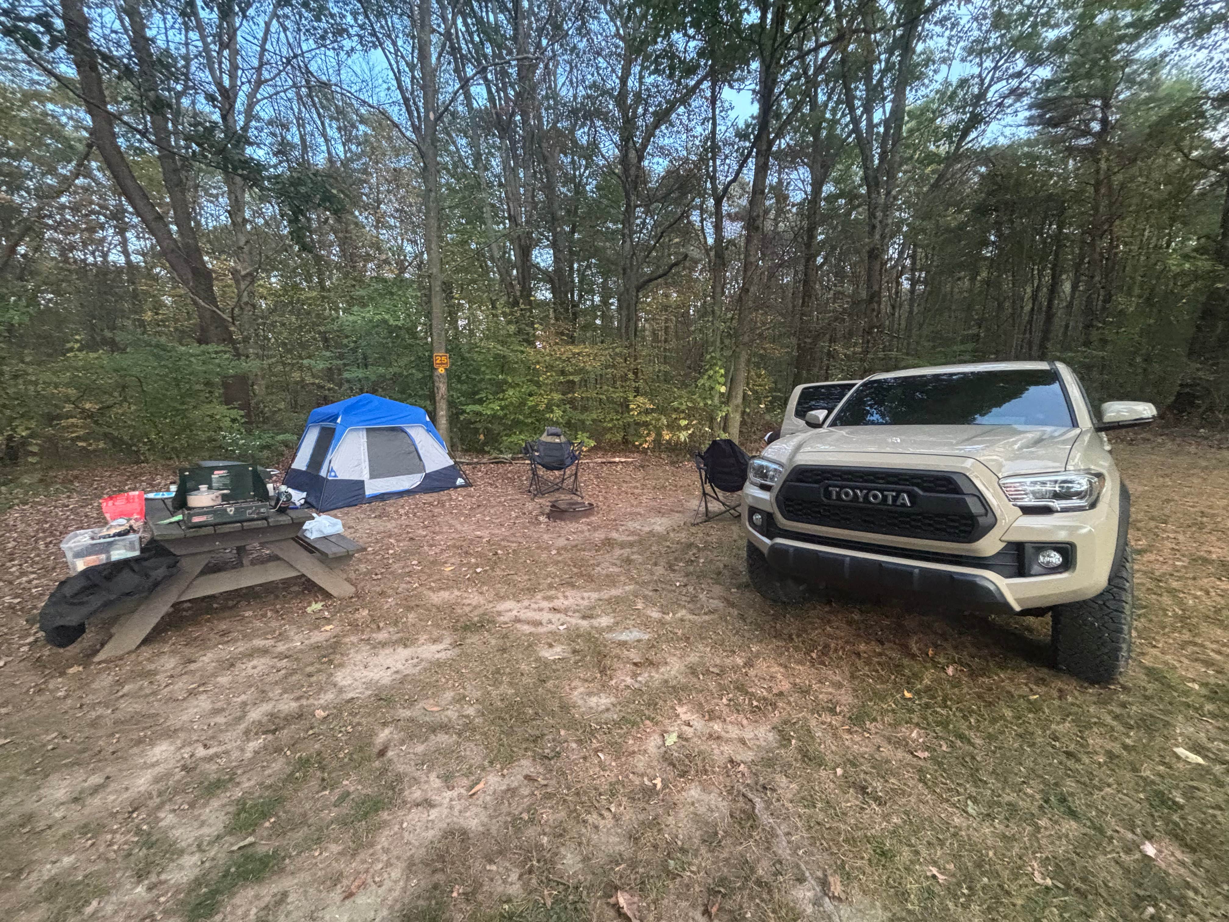 Camper-submitted photo at Sugar Hill Fire Tower Campsite near Nunda, NY