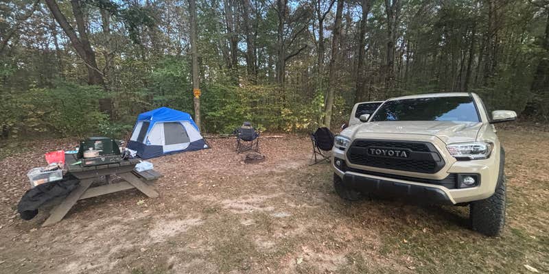 Camper submitted image from Sugar Hill Fire Tower Campsite