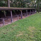 Review photo of Sugar Hill Fire Tower Campsite by Kevin C., July 23, 2024