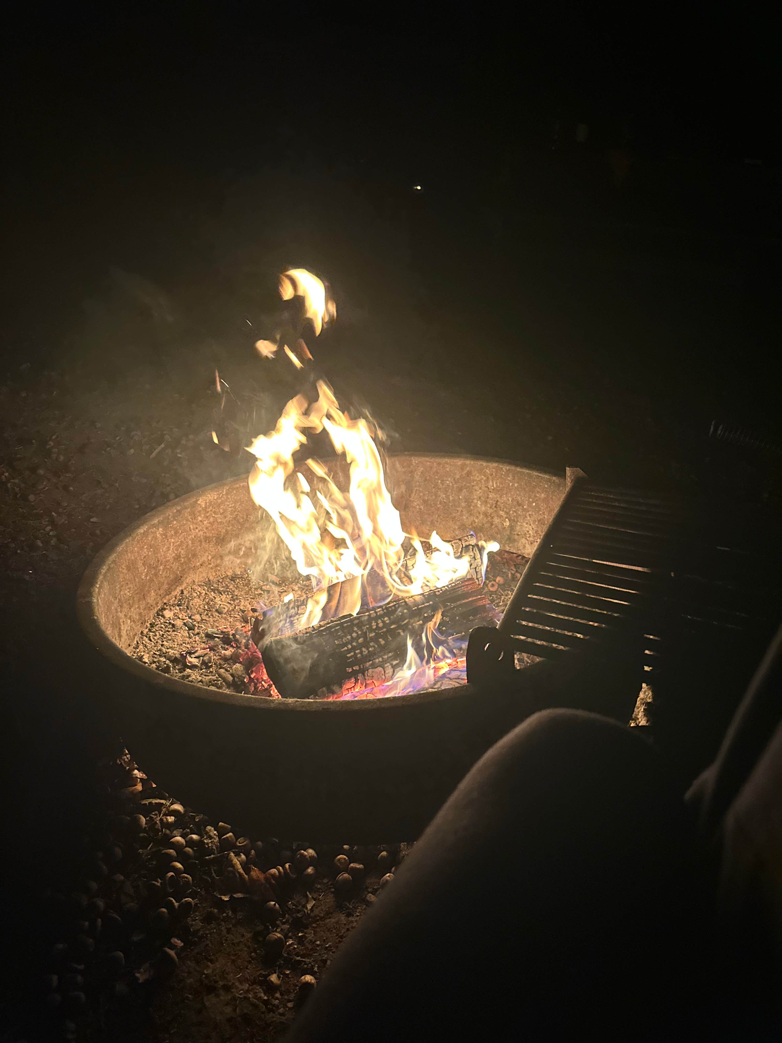Camper-submitted photo at Sugar Hill Fire Tower Campsite near Nunda, NY